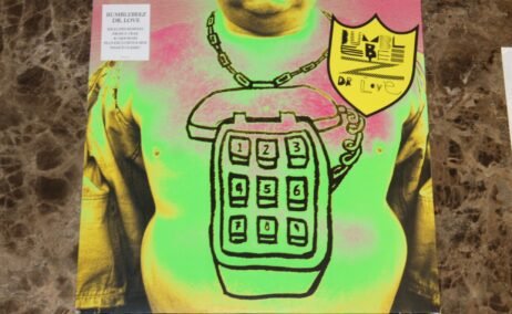 The Bumblebeez - Dr Love (12") (VG+/VG)