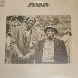 Taj Mahal - Recycling The Blues & Other Related Stuff (VG)