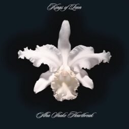 Kings Of Leon - Aha Shake Heartbreak (2LP)