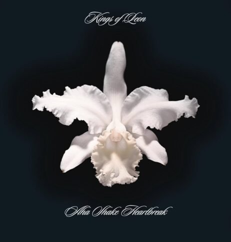 Kings Of Leon - Aha Shake Heartbreak (2LP)