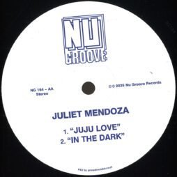 Marshall Jefferson & Steve Mac Present Sleezy D / Juliet Mendoza – In The Night