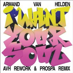 Armand Van Helden - I Want Your Soul
