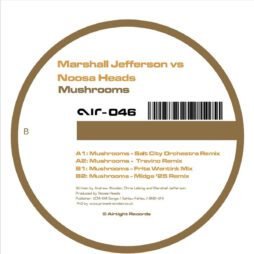 Marshall Jefferson vs Noosa Heads - Mushrooms