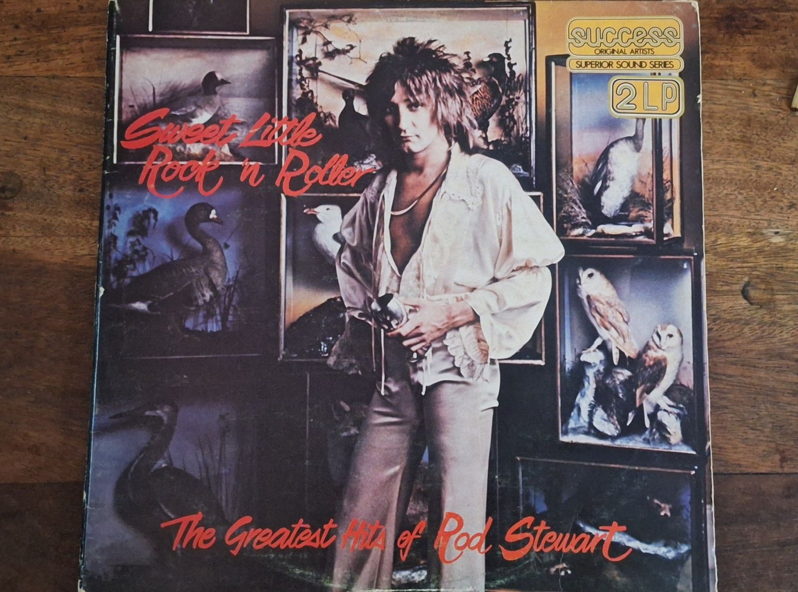 Rod Stewart - Sweet Little Rock N Roller (G+)