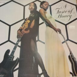 A Taste Of Honey - A Taste Of Honey (G+/VG+)