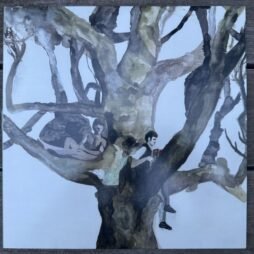 Destroyer - Labyrinthitis (VG/G+)