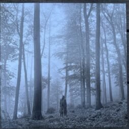 Taylor Swift - Folklore (VG+) (Gold Vinyl) ("In The Trees" Cover)