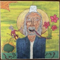Charlie Parr - Last Of The Better Days Ahead (VG+) (2LP)