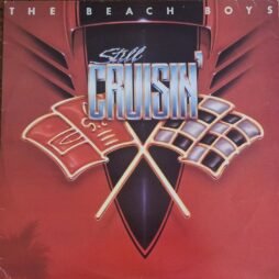 The Beach Boys - Still Cruisin' (VG)