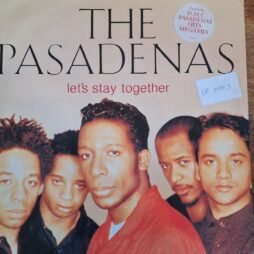 The Pasadenas - Let's Stay Together (VG/G+) (12")