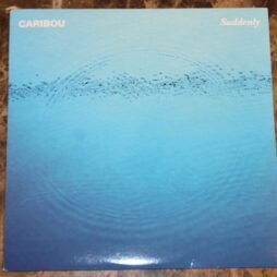 Caribou - Suddenly (VG+)