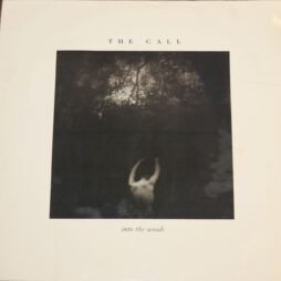 The Call - Into The Woods (VG/G+)