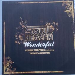 Terry Hunter Featuring Terisa Griffin - Wonderful (12") (VG/VG+)
