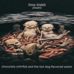 Limp Bizkit - Chocolate Starfish And The Hot Dog Flavored Water (2LP)