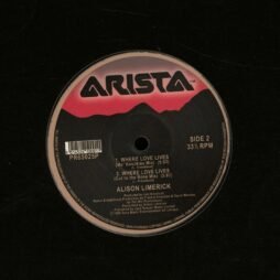Alison Limerick - Where Love Lives