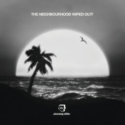 The Neighbourhood - Wiped Out! (2LP) (10th Anniversary Ed.)