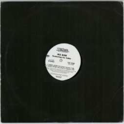 MC Ren - Comin' After You (G+/Gen) (12")