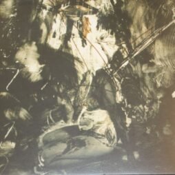 Fields Of The Nephilim - Elizium (VG+)