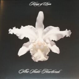 Kings Of Leon - Aha Shake Heartbreak (VG+)
