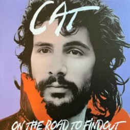 Cat Stevens - On The Road To Findout (2LP)