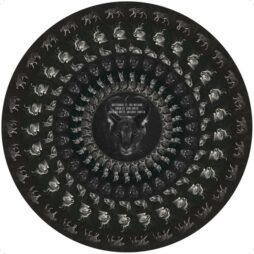 Disclosure - Caracal (2LP) (Zoetrope Pic. Disc) (10th Anniversary Ed.)