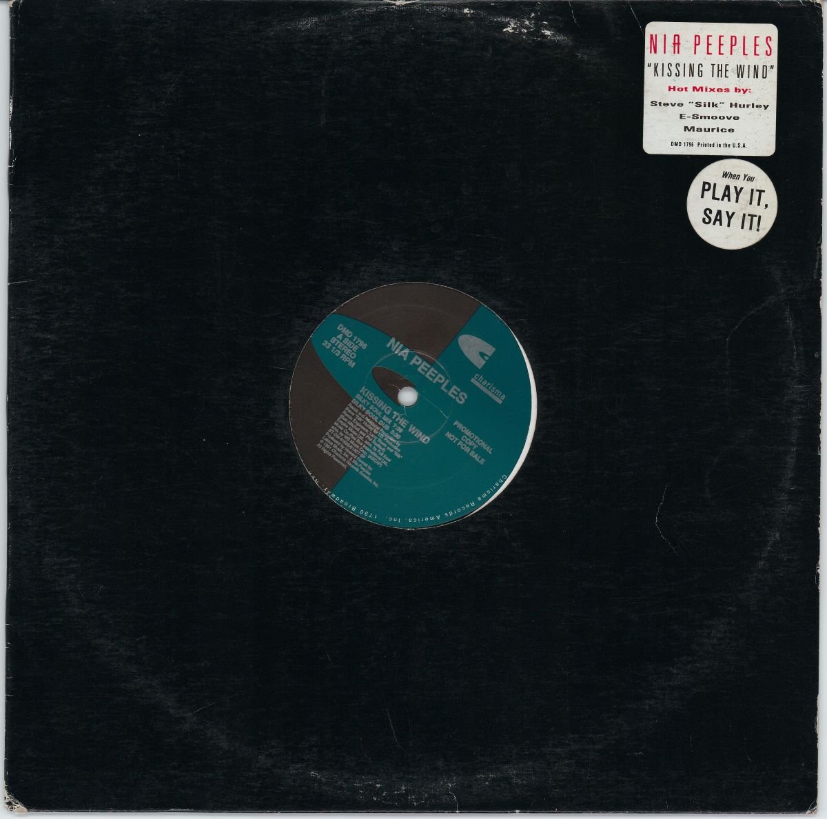 Nia Peeples - Kissing The Wind (VG+/Gen)