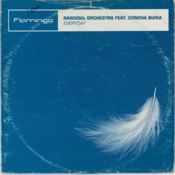 Rawsoul Orchestra Feat. Concha Buika - Everyday (G+)