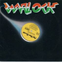 I Want Your Love (VG+/Gen) (12")