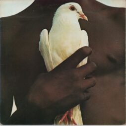 Santana - Santana's Greatest Hits (G+/VG)