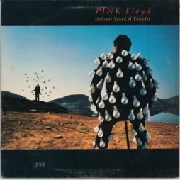 Pink Floyd - Delicate Sound Of Thunder (G/G+) (2LP)