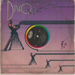 Tina Turner - One Of The Living (G+/Gen) (12")