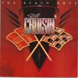 The Beach Boys - Still Cruisin' (VG/VG+)