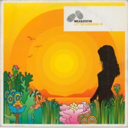 Milk & Sugar - Let The Sunshine In (Remix) (VG/G+)