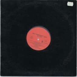 Missy Elliott - She's A Bitch (VG+/Gen) (12")