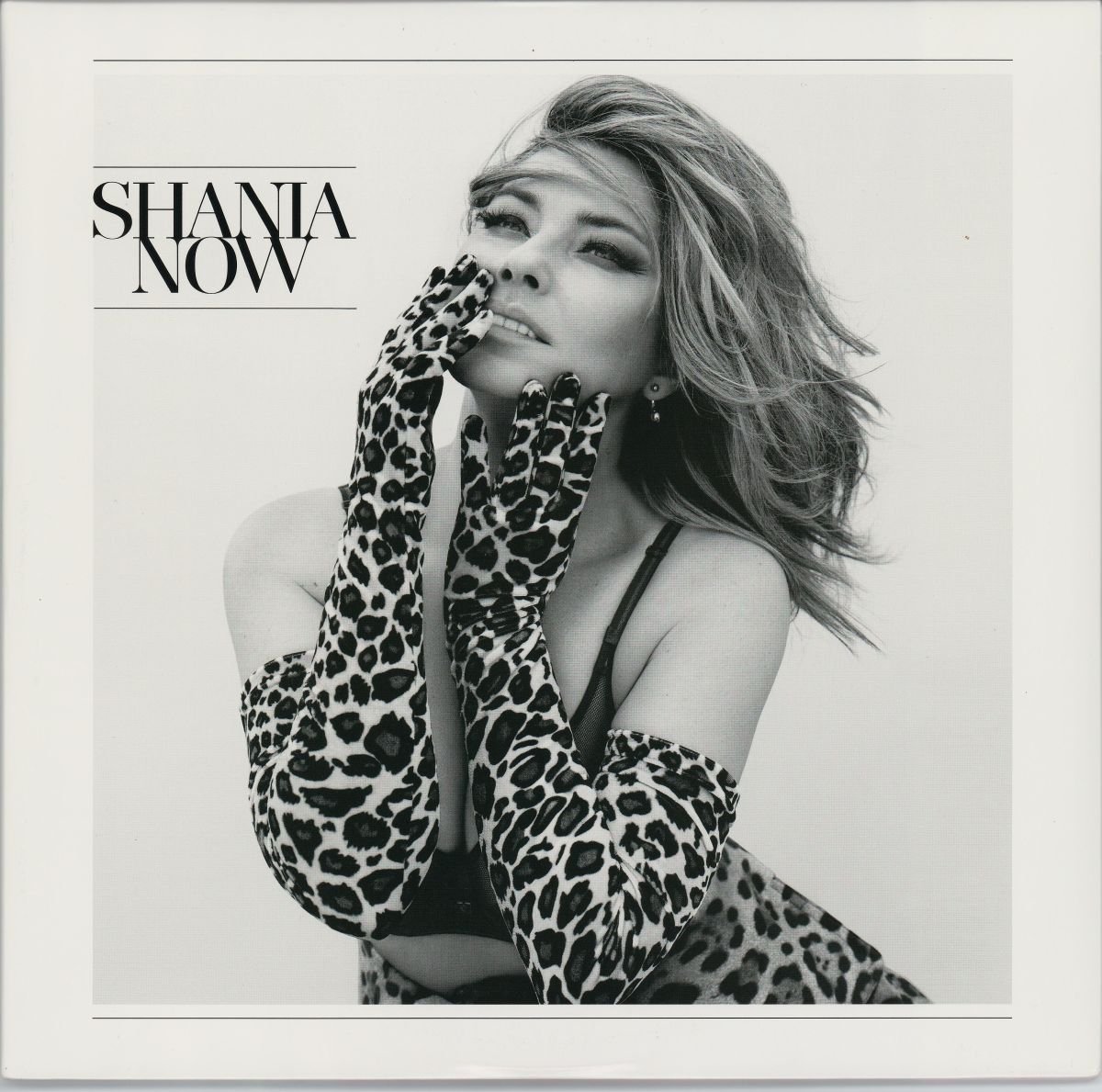Shania Twain - Now (NM/VG+) (2LP)