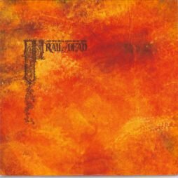 ...And You Will Know Us By The Trail Of Dead - Source Tags & Codes (VG+) (2LP) (Orange Transparent Vinyl)