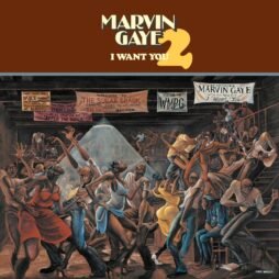 Marvin Gaye - I Want You 2 (2LP) (50th Anniversary)