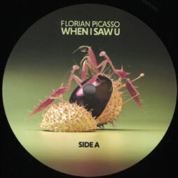 Florian Picasso - When I Saw U