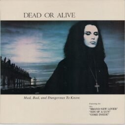 Dead Or Alive - Mad, Bad And Dangerous To Know. (VG+)