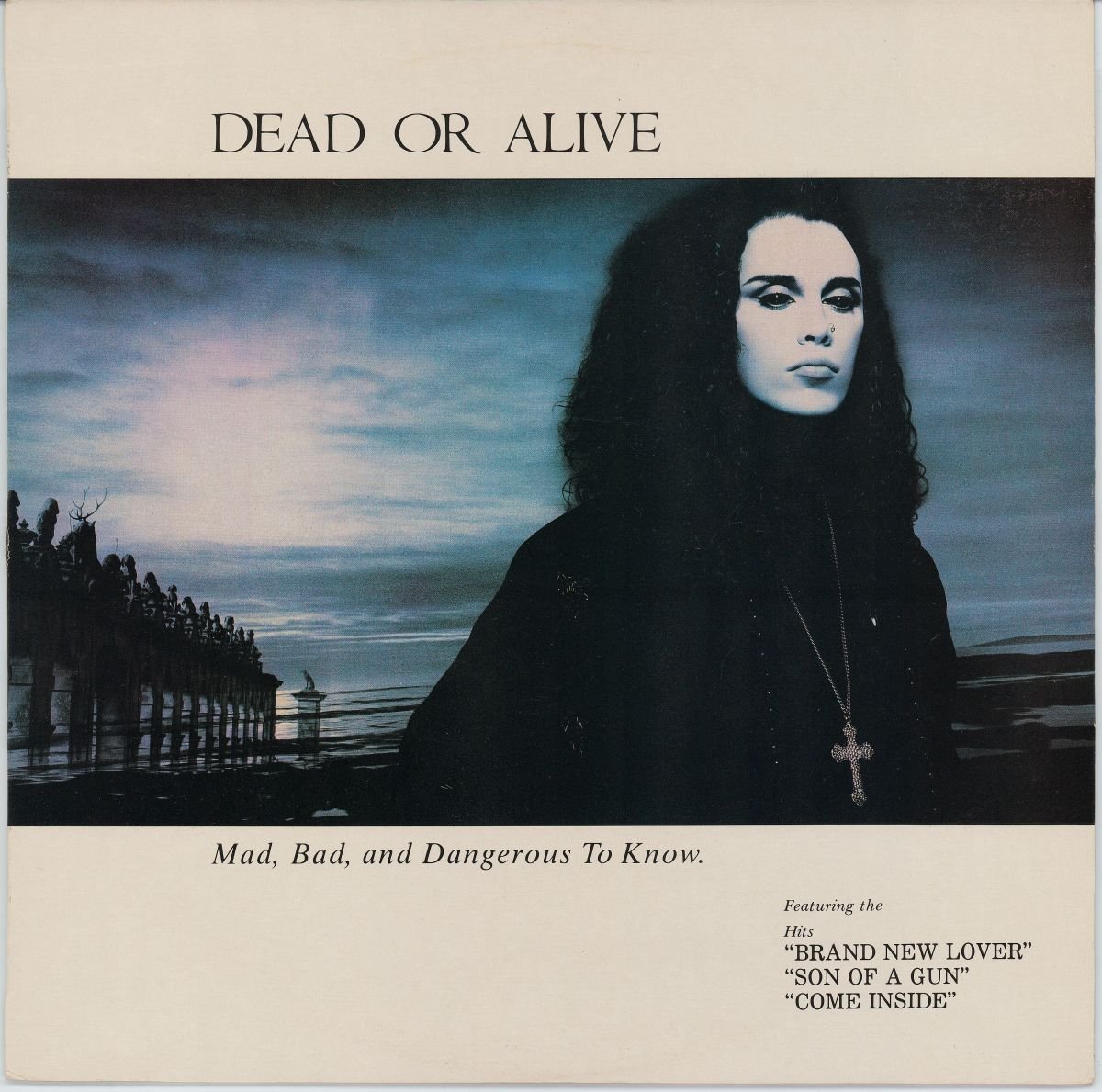 Dead Or Alive - Mad, Bad And Dangerous To Know. (VG+)