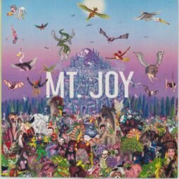 Mt. Joy - Rearrange Us (VG+)