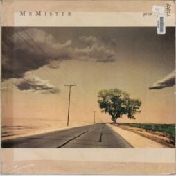 Mr. Mister - Go On... (G/G+)
