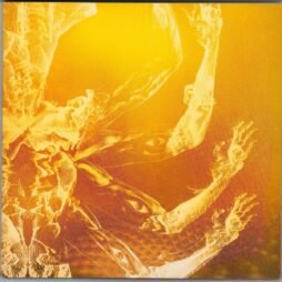 Tool - Fear Inoculum (VG+) (3LP)