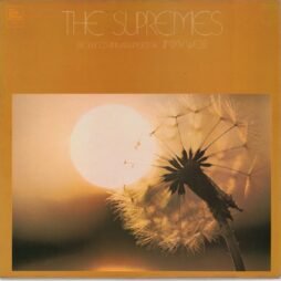The Supremes - The Supremes Produced And Arranged By Jimmy Webb (VG)