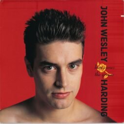 John Wesley Harding - Here Comes The Groom (VG+/VG)