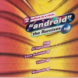 2 Culture In A Room - Android The Remixes (VG+) (12")