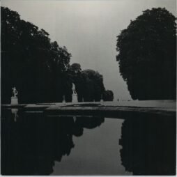 Luxury - Trophies (VG+/G+) (White Vinyl)