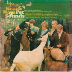 The Beach Boys - Pet Sounds (G+/F)