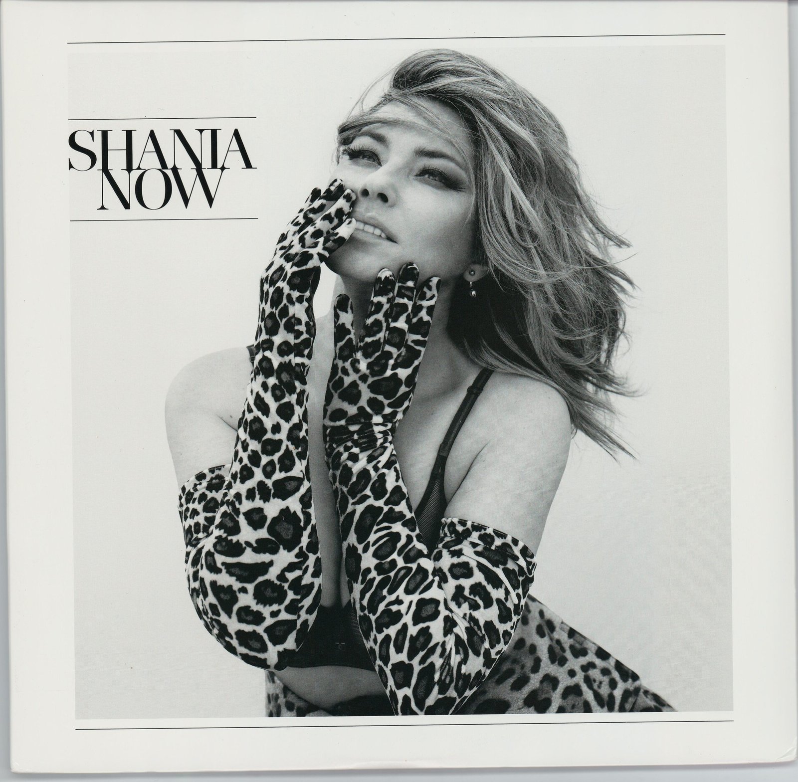 Shania Twain - Now (NM/VG+) (2LP)