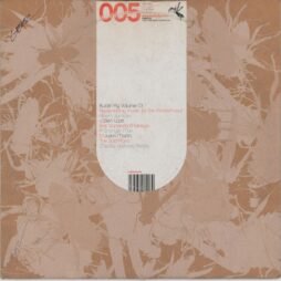 Buzzin' Fly Volume 01 - Replenishing Music For The Modern Soul (VG+/G+) (12")